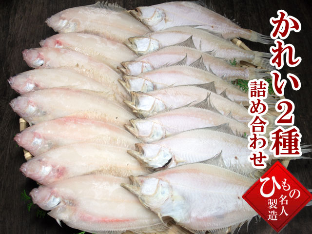 粉雪のような繊細な食感上品で芯のある甘み。山陰沖日本海産 笹かれい