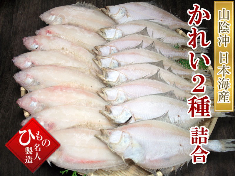 干物 笹かれい・えてかれい詰め合わせ