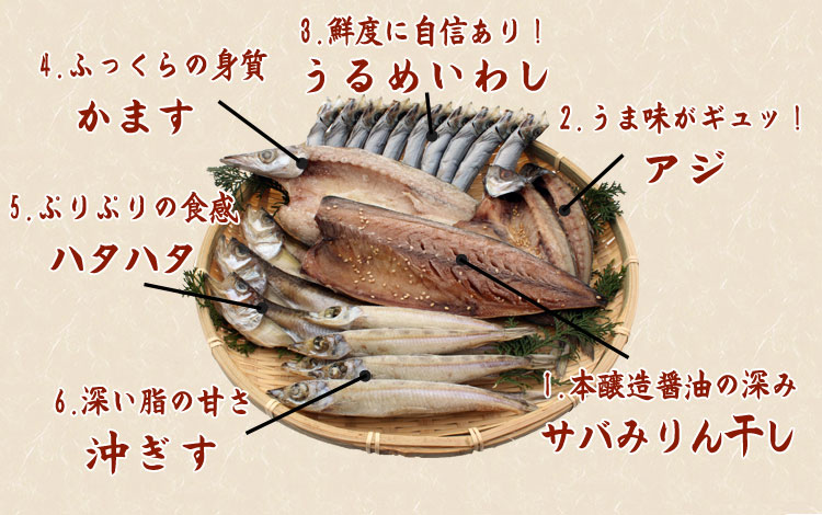山陰沖 日本海産 名人の干物 「幸」-22尾