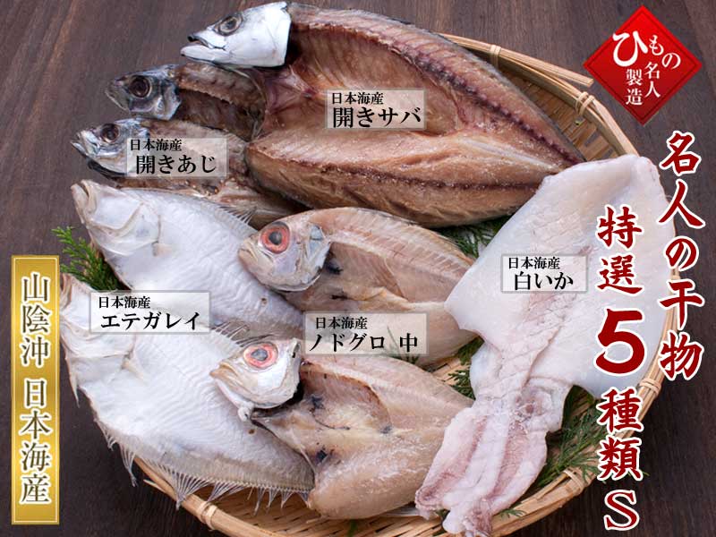 名人の干物5種-S