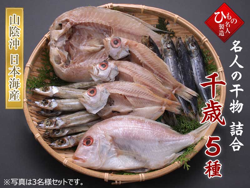 名人の干物 千歳5種詰め合わせ