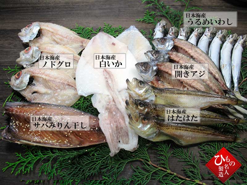 山陰沖 日本海産 名人の干物特選6種類B