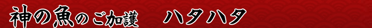 神の魚のご加護 ハタハタ