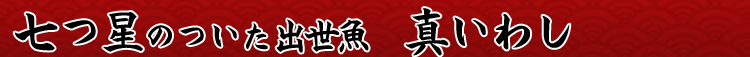 七つ星のついた出世魚 真いわし