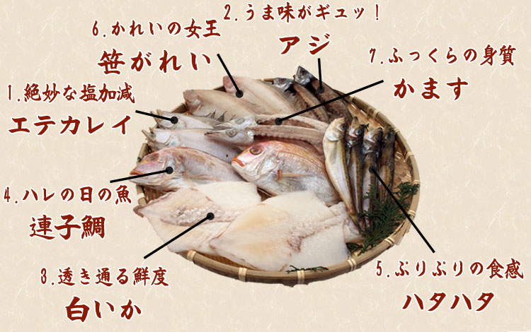 山陰沖 日本海産 名人の干物特選7種類(連子鯛入り)-2
