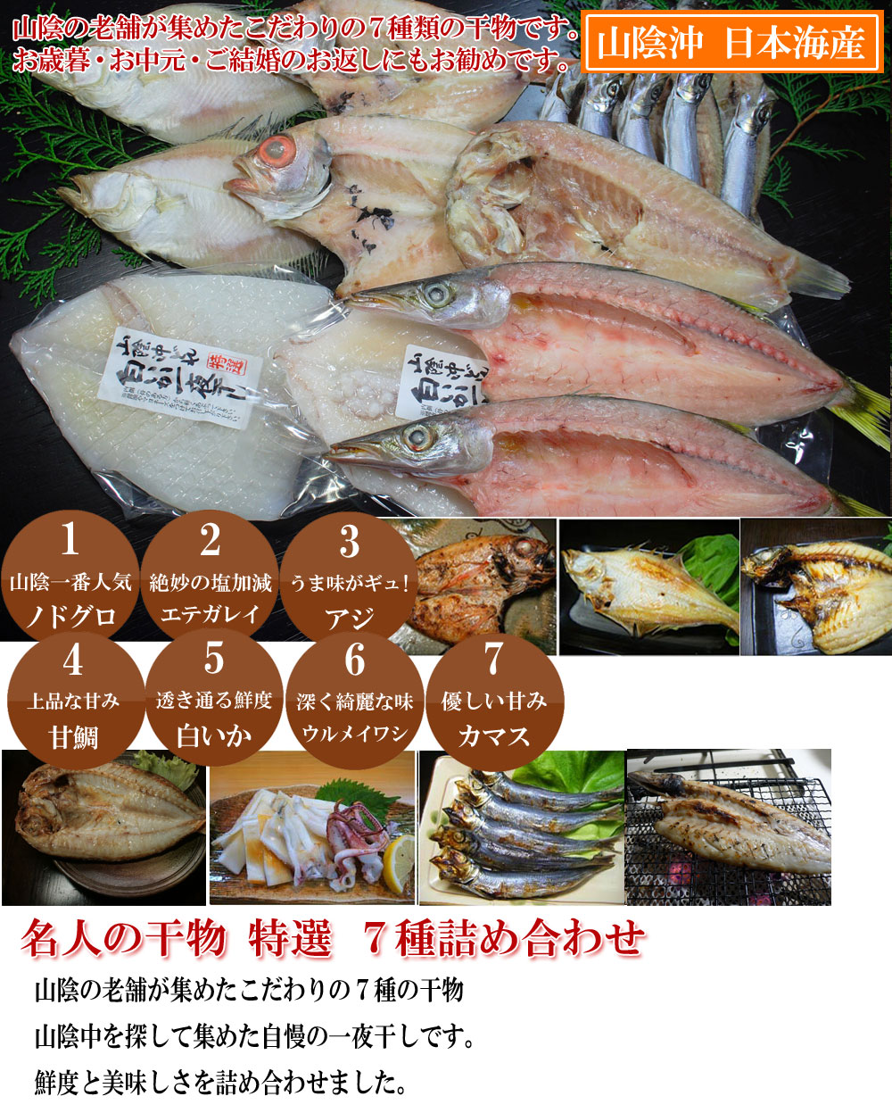 山陰沖 日本海産 名人の干物特選7種類