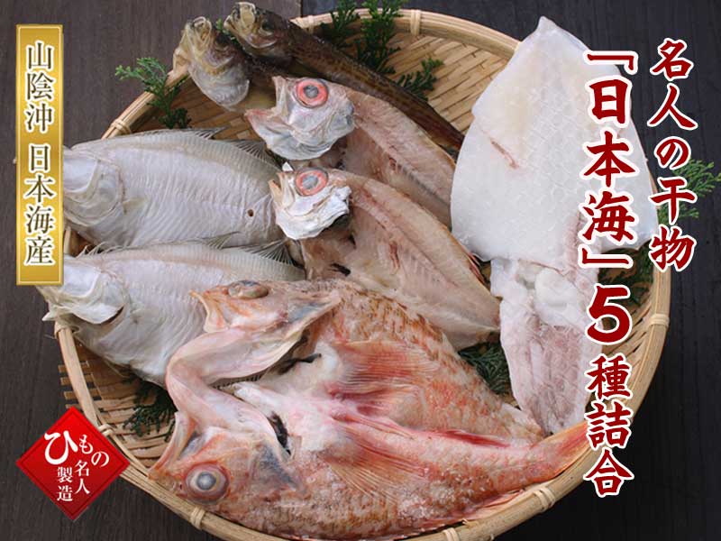 日本海 5種類