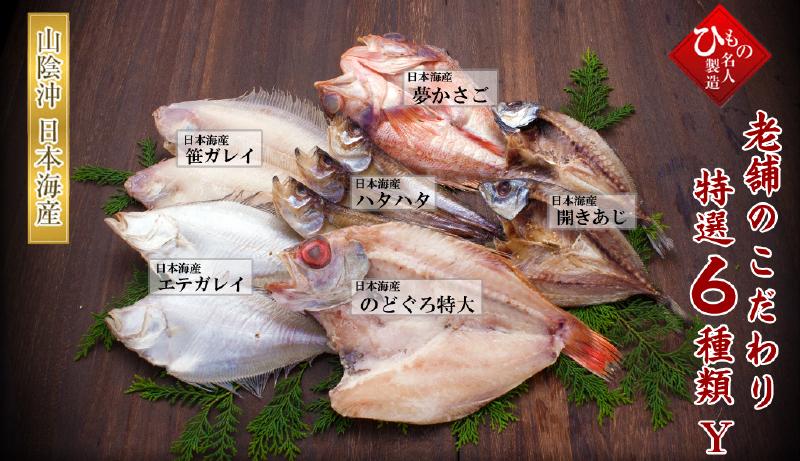 老舗のこだわり6種セット-Y(のどぐろ特大・かさご入り)