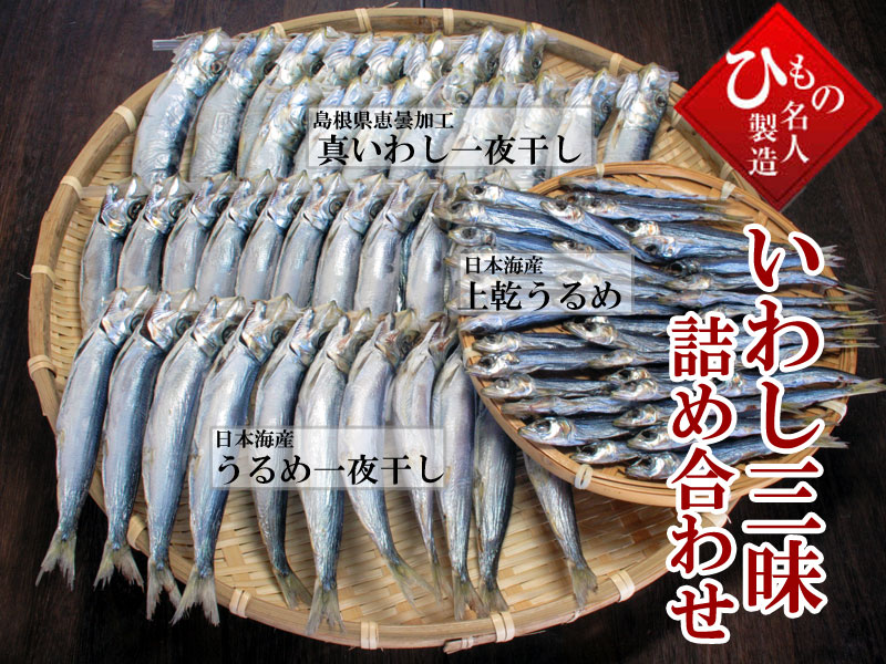 山陰沖 日本海産、いわし三昧詰め合わせ