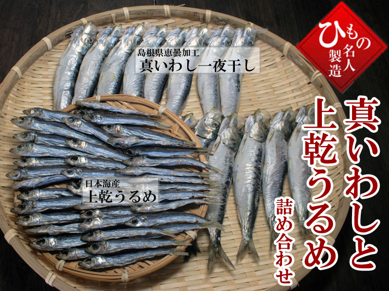 名人の干物 真いわしと上乾うるめ詰め合わせ