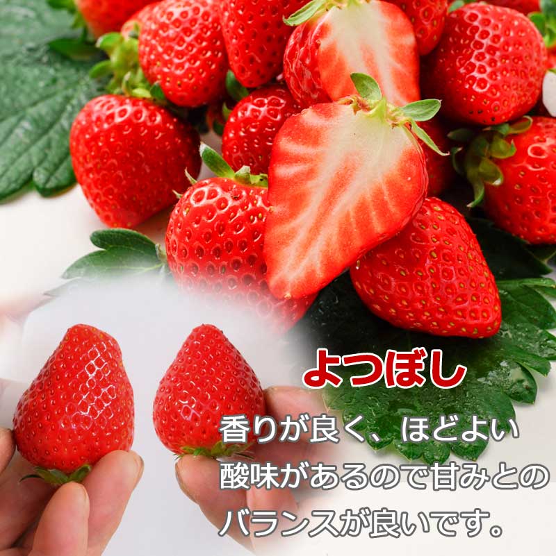 よつぼしの説明