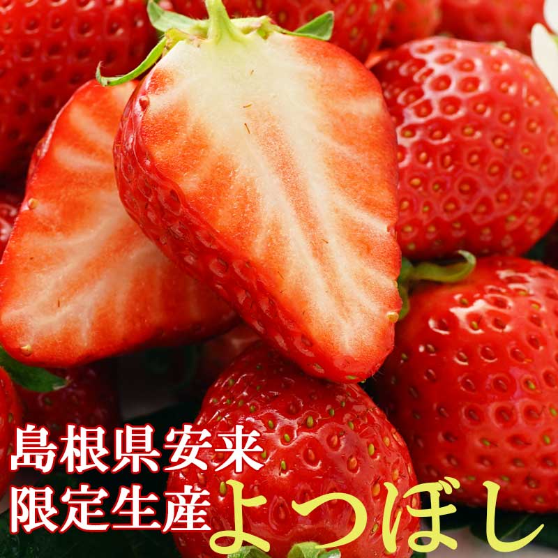 よつぼしのメイン