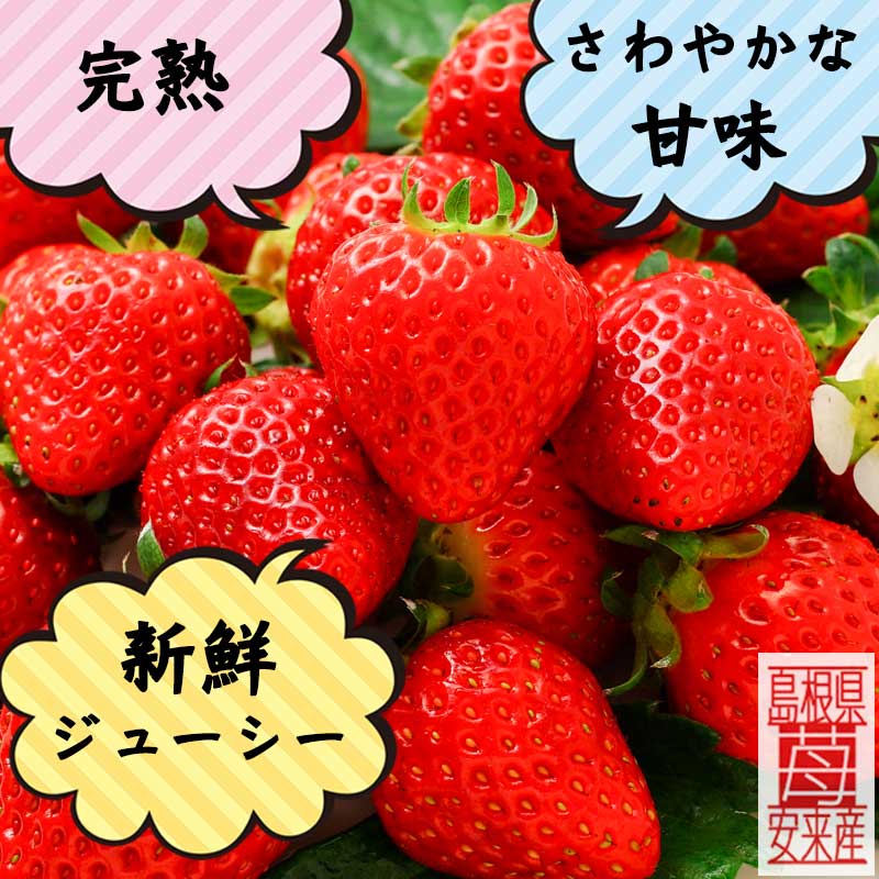 完熟だけ発送してます