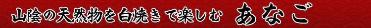 山陰の天然物を白焼きで楽しむ あなご