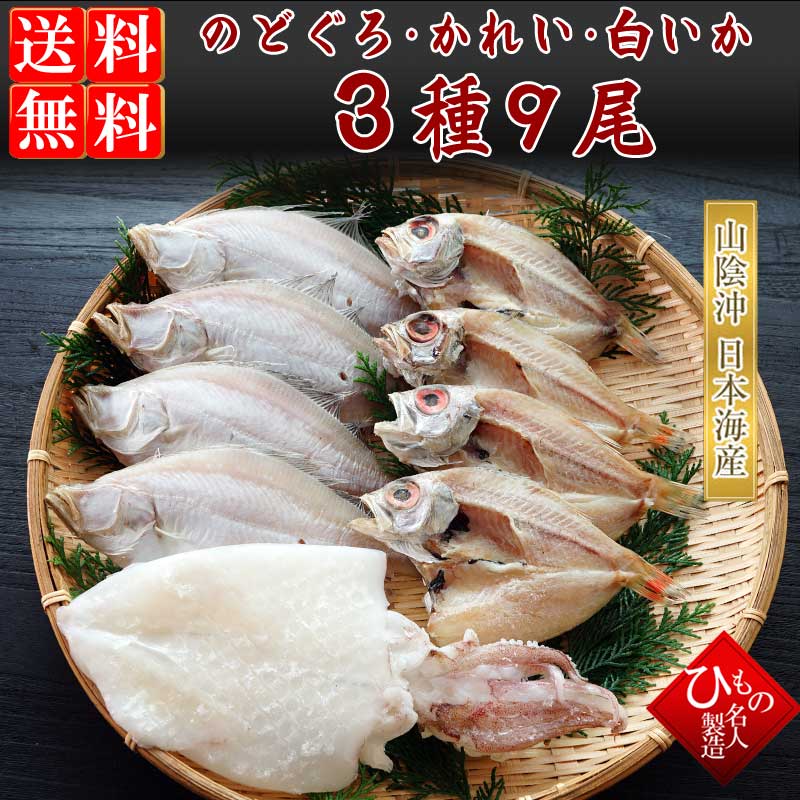 山陰沖 日本海産 名人の干物特選3種9尾