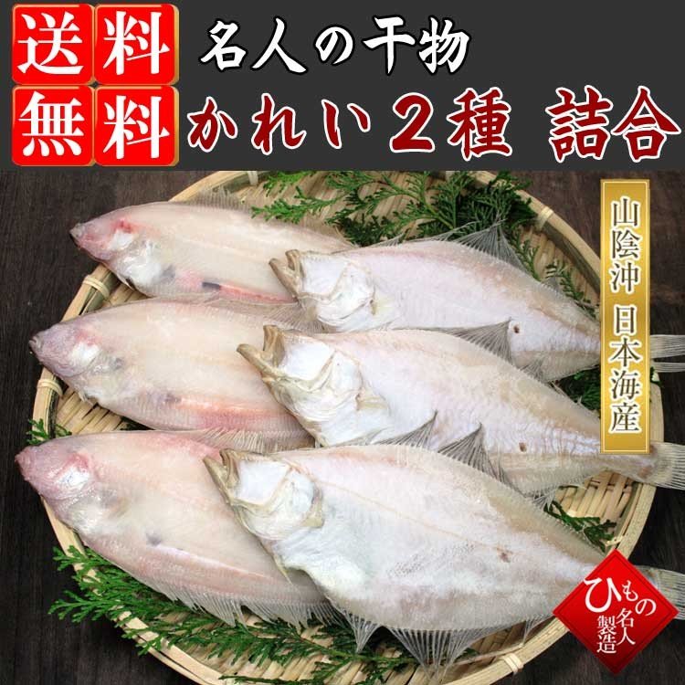 粉雪のような繊細な食感上品で芯のある甘み。山陰沖日本海産 笹かれい