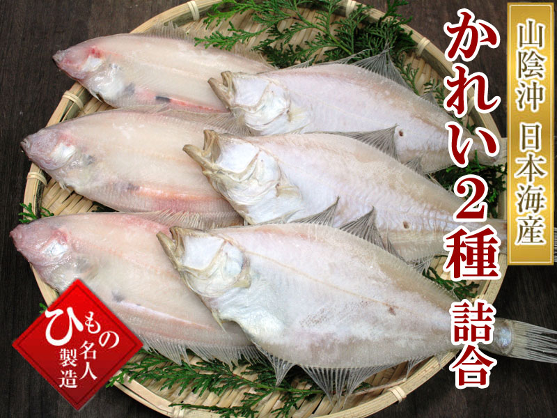 粉雪のような繊細な食感上品で芯のある甘み。山陰沖日本海産 笹かれい