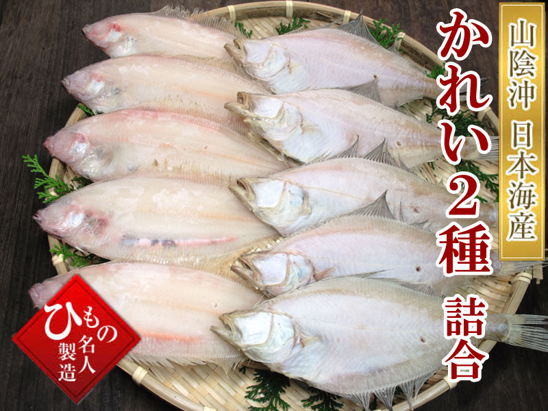干物 笹かれい・えてかれい詰め合わせ