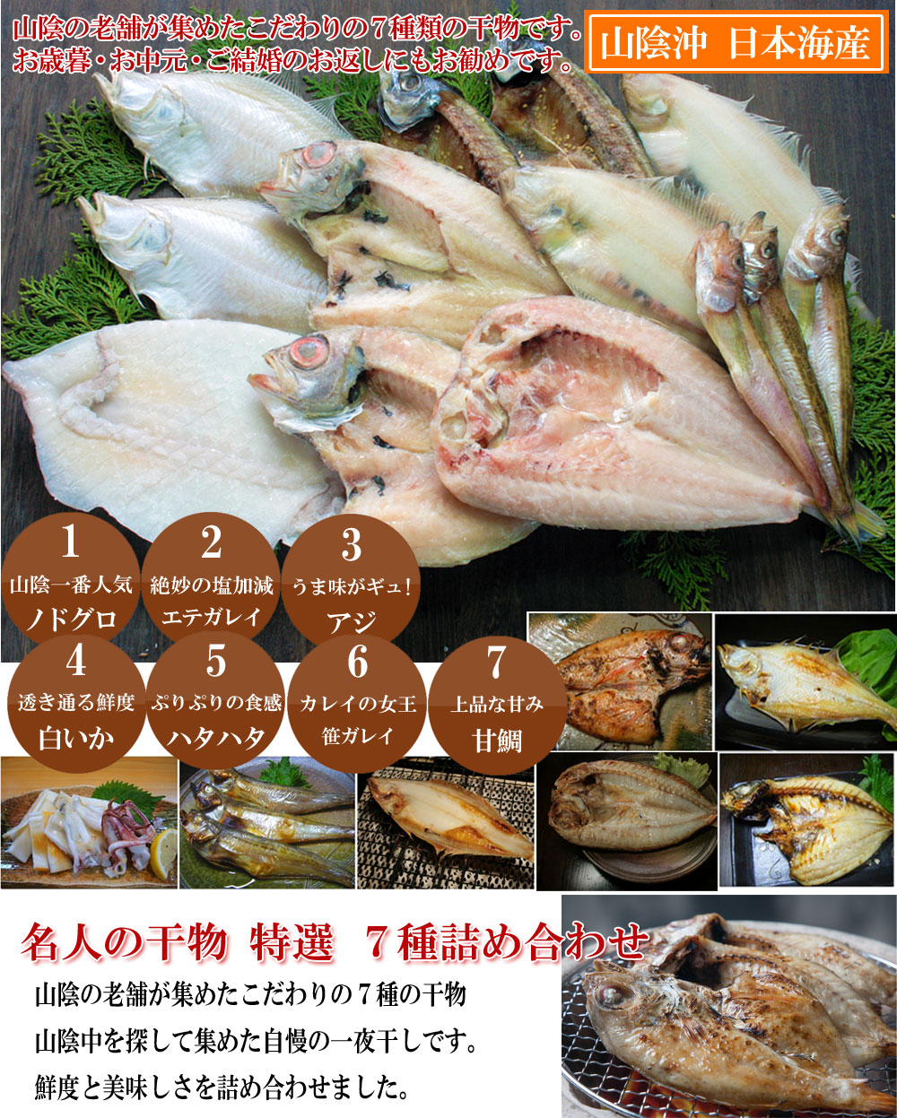 山陰沖 日本海産 名人の干物特選7種類D