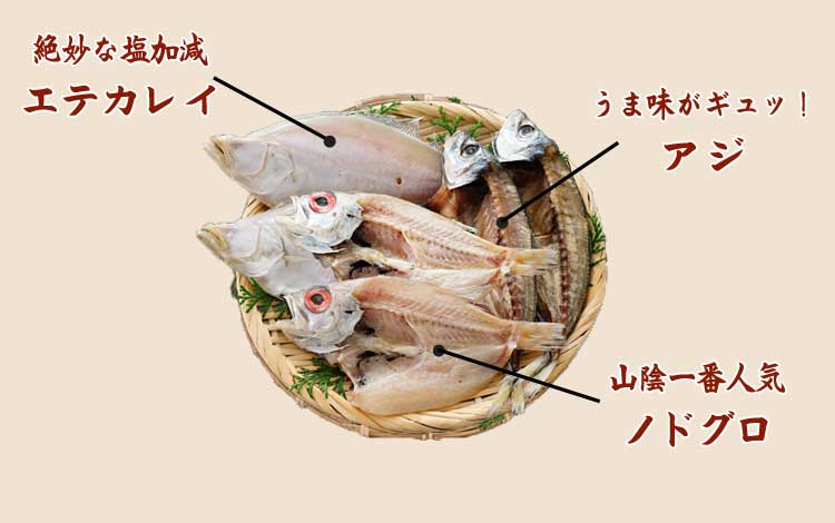 お試しセット 3種類の干物を詰め合わせました。