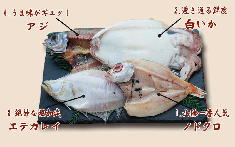 山陰沖 日本海産 名人の干物4種詰合-C1