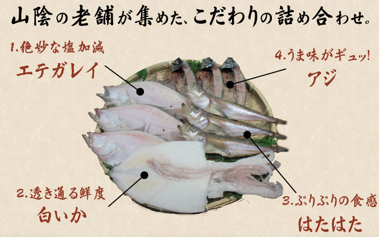 名人の干物 ひもの 4種 白いか入り 詰合 E 干物セット 送料無料 北海道 沖縄は送料1000円をお願いします