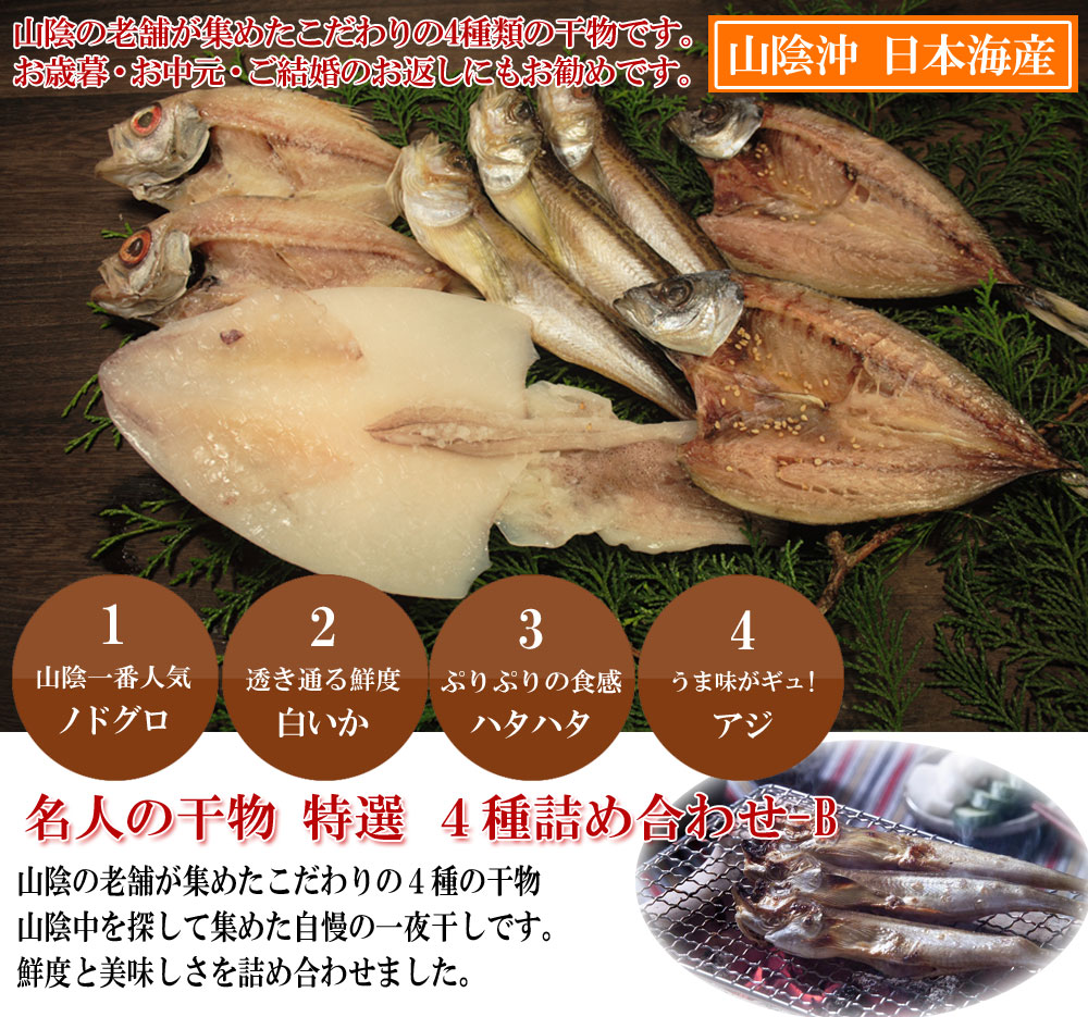 山陰沖 日本海産 名人の干物特選4種類-B