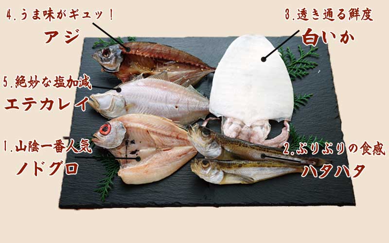 5種-C 内容