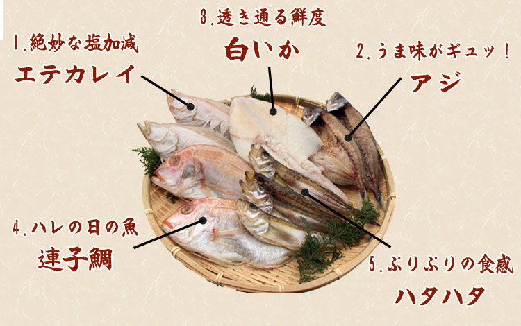 山陰沖 日本海産 名人の干物特選5種類(連子鯛入り)