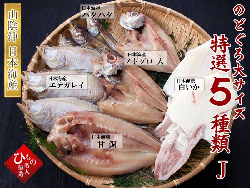 山陰沖 日本海産 名人の干物特選5種類