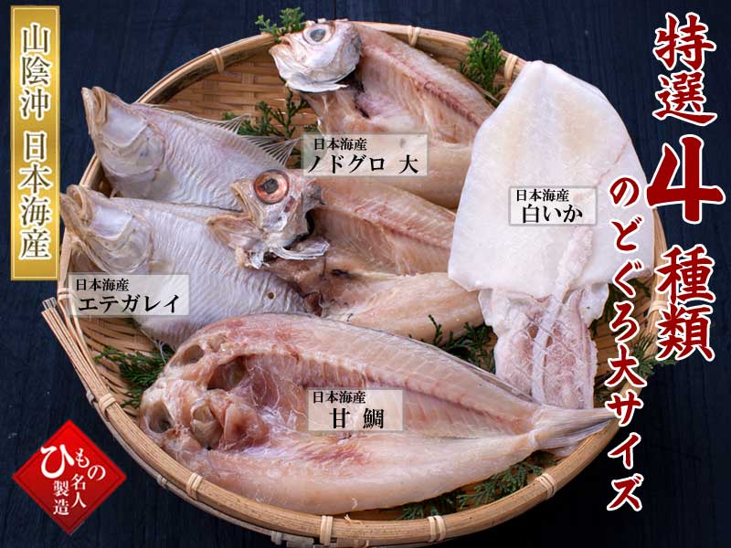 山陰沖 日本海産 名人の干物特選4種類