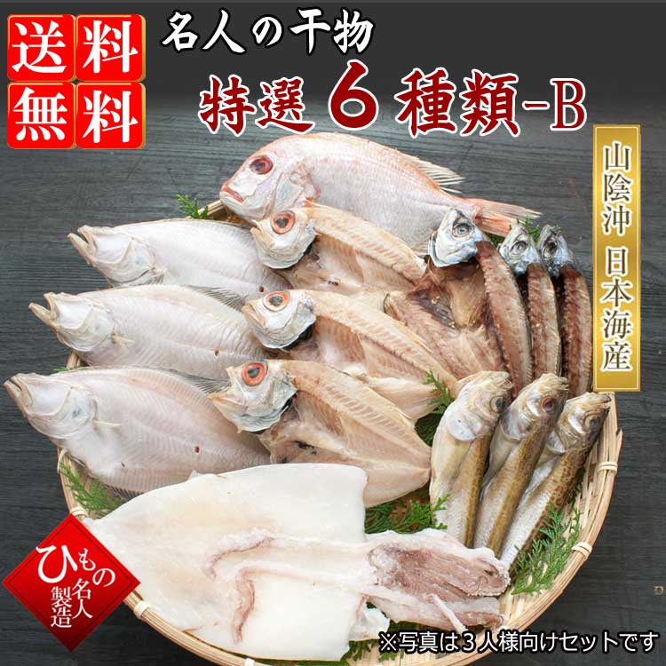 山陰沖 日本海産 名人の干物 祝-14尾