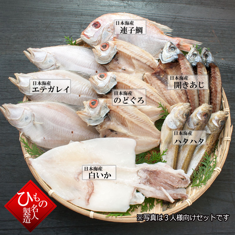 山陰沖 日本海産 名人の干物 祝-14尾