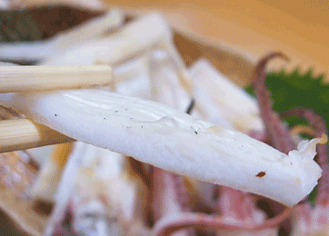 白イカ 身