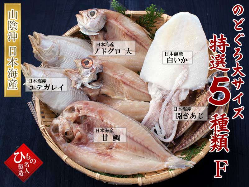 山陰沖 日本海産 名人の干物特選5種類