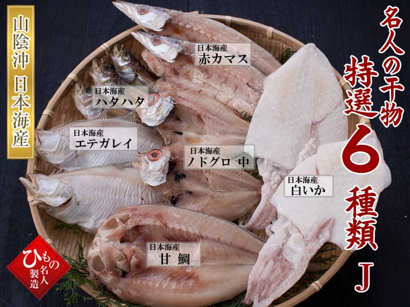 山陰沖 日本海産 名人の干物特選5種類