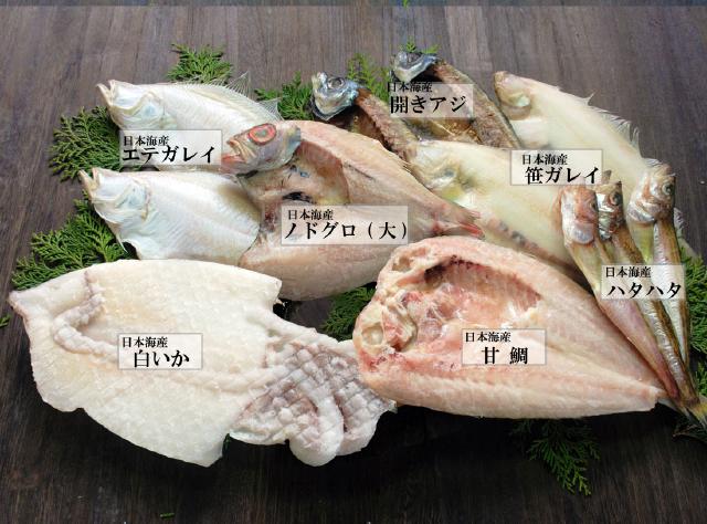 名人の干物7種-E