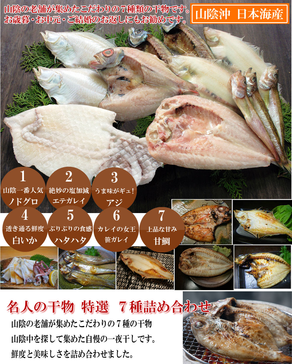 山陰沖 日本海産 名人の干物特選7種類E