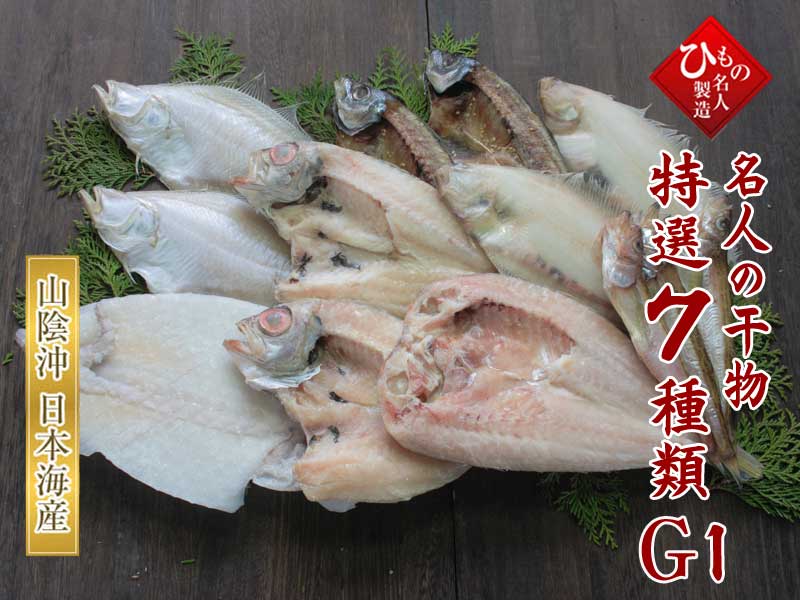 山陰沖 日本海産 名人の干物特選7種類G