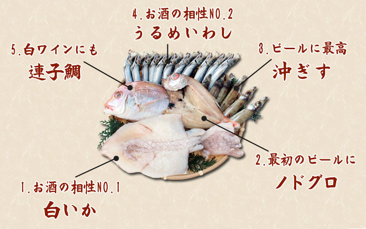 山陰の老舗が集めたこだわりの一夜干し内容をご覧下さい。