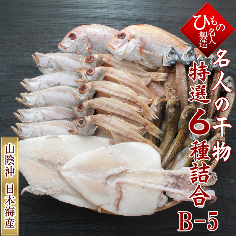 山陰沖 日本海産 名人の干物 祝-24尾