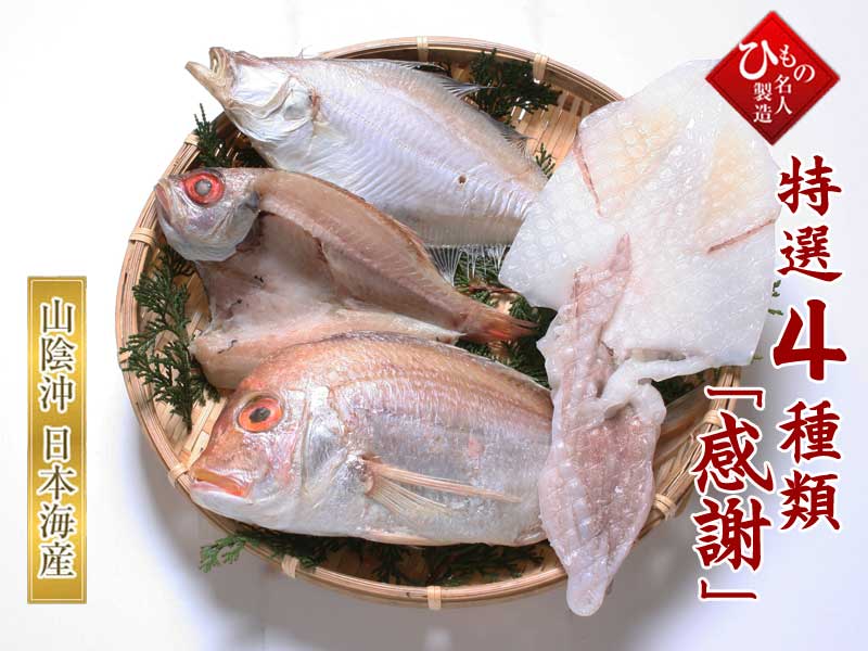 山陰沖 日本海産 名人の干物 「感謝」