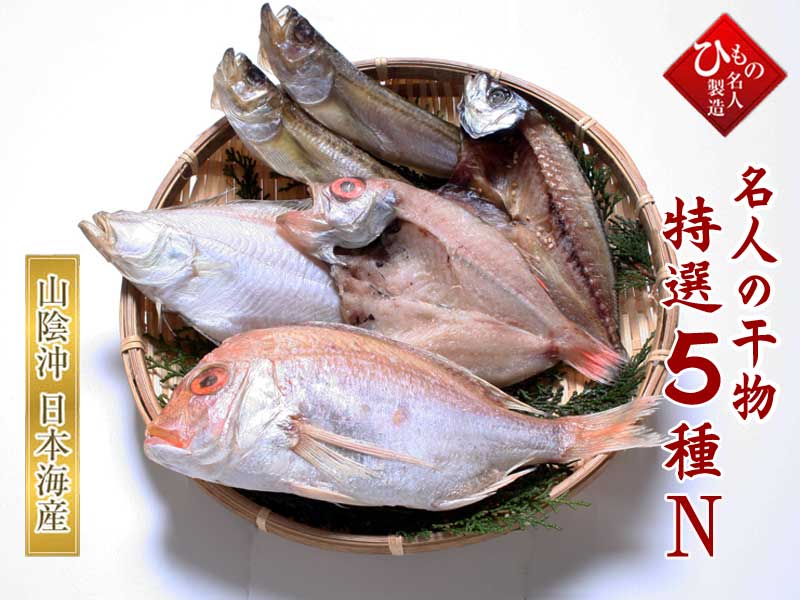 山陰沖 日本海産 名人の干物 5種N