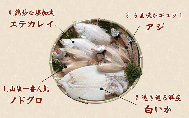山陰沖 日本海産 名人の干物特選4類