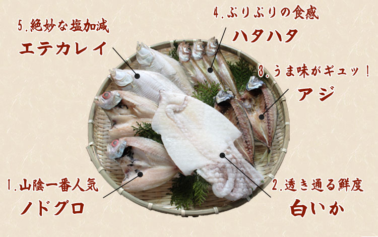 5種-C 内容