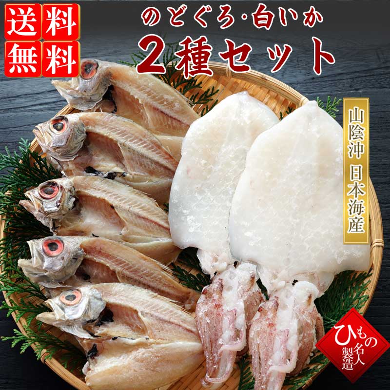 山陰沖 日本海産 のどぐろ・白いか2種詰め合わせ