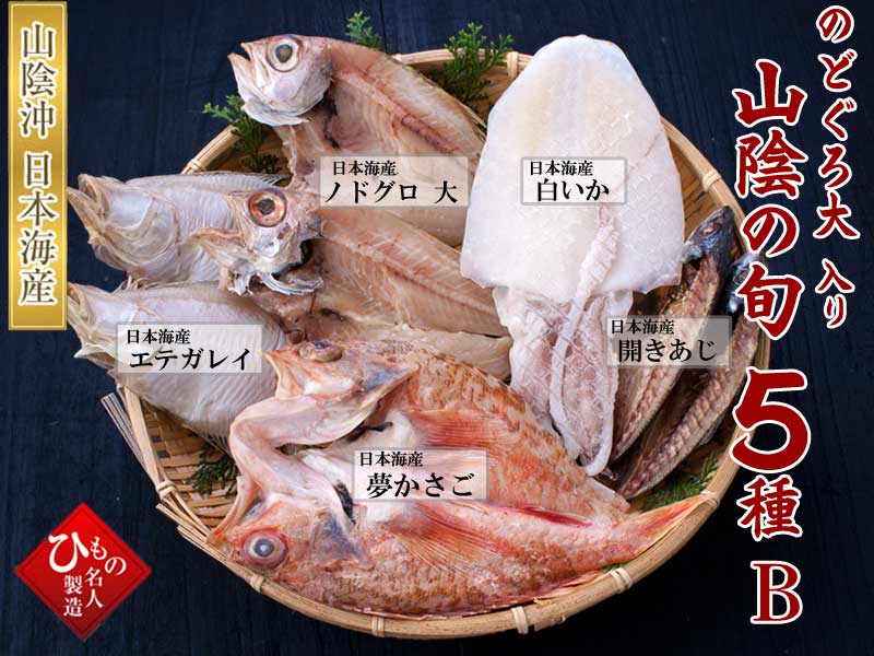 山陰沖 日本海産 旬の干物特選5種類