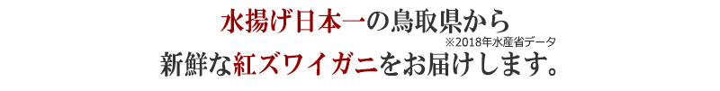 鳥取県は紅ズワイガニの水揚げ日本一です。※2018年農林水産省