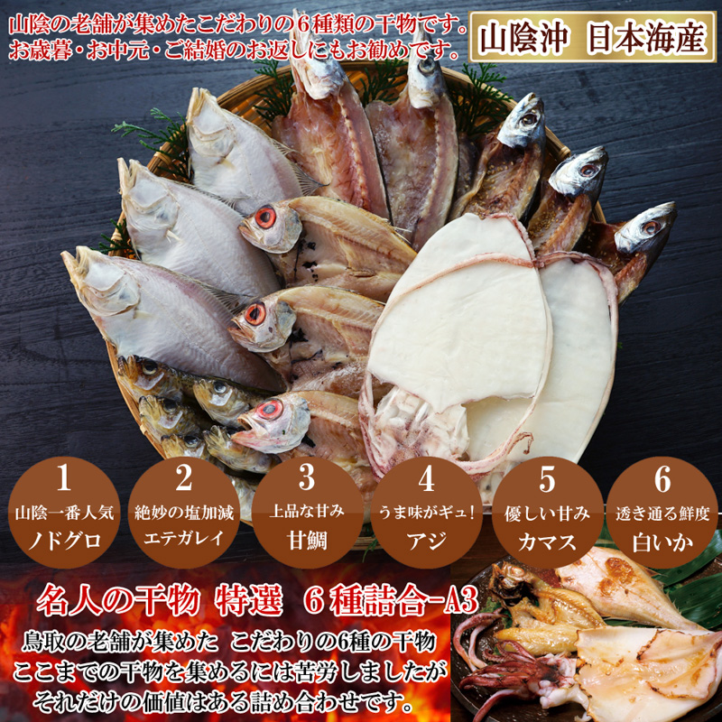 山陰沖 日本海産 名人の干物6種詰合-A3