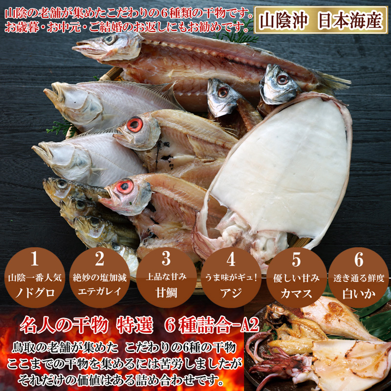山陰沖 日本海産 名人の干物6種詰合-A2